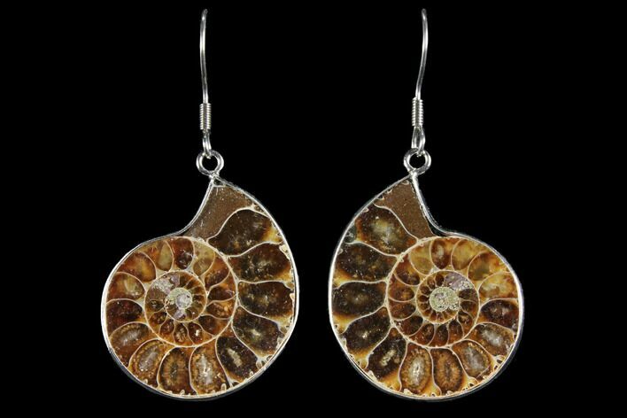Fossil Ammonite Earrings - Million Years Old #112216